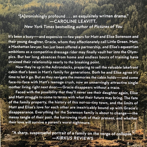 The Summer We Lost Her by Tish Cohen | Mystery, Thriller & Suspense Drama - Picture 3 of 4